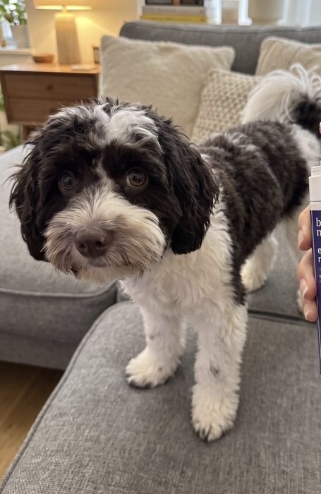 Verified customer photo from Su Taylor’s review
