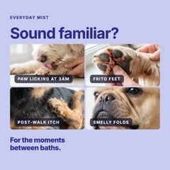 Everyday Mist for the daily concerns it handles in the Daily Duo