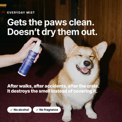 Everyday Mist odor care for paws, folds, and between-bath refreshes