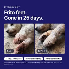 Everyday Mist customer result for frito feet