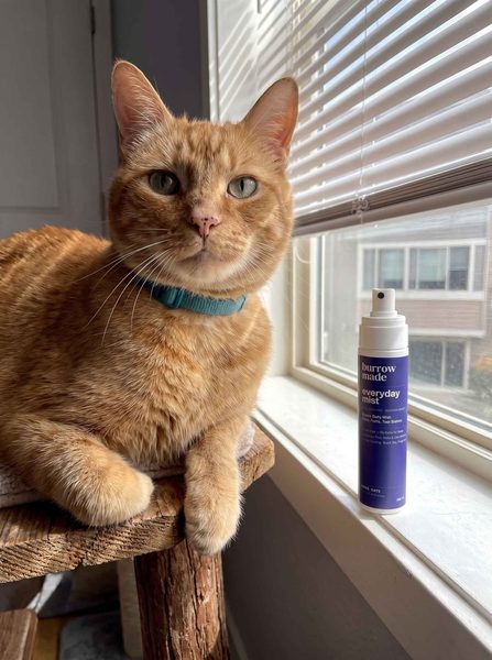 Verified customer photo from Sara Merzz&rsquo;s review