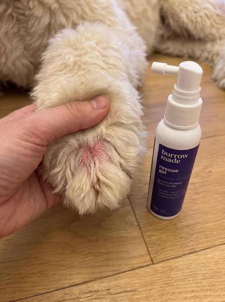 Verified customer photo from Erin Rinney&rsquo;s review