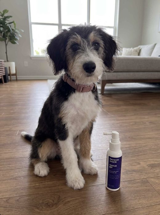 Verified customer photo from Nina B.&rsquo;s review