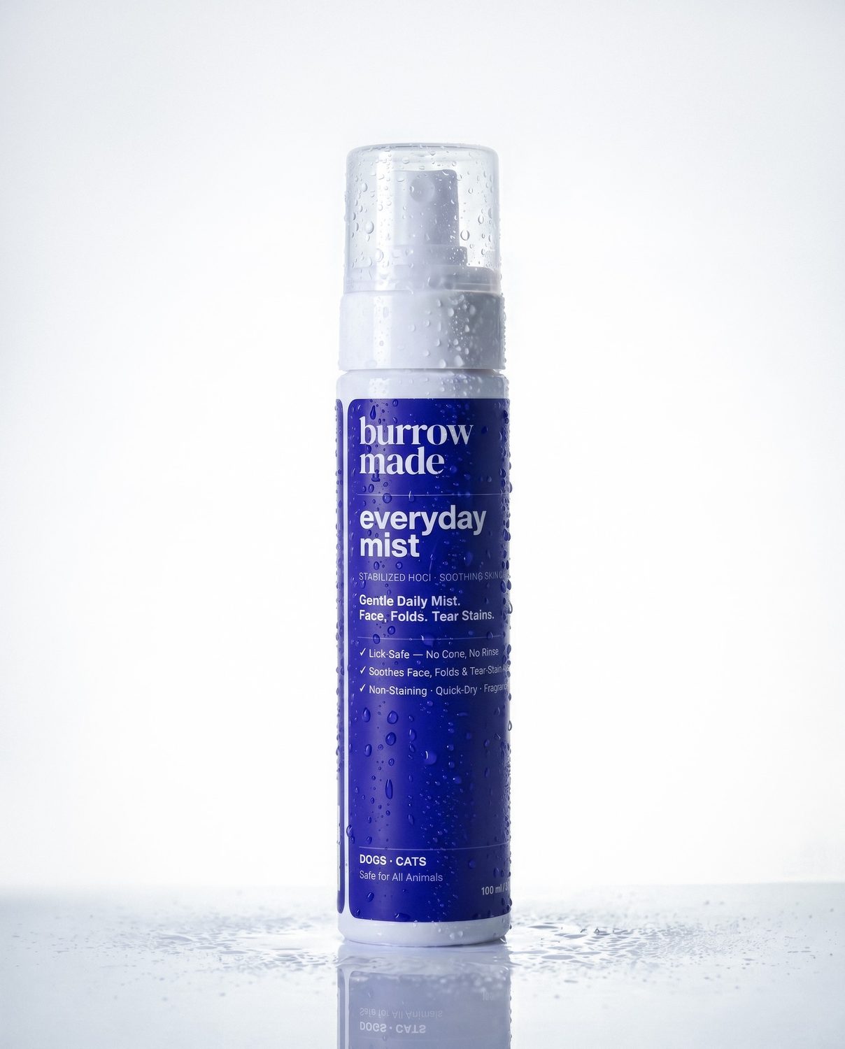 Everyday Mist – 100ml gentle daily mist bottle
