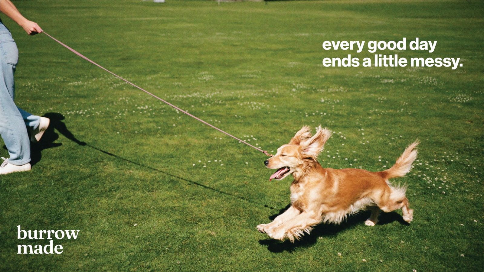 A dog running outdoors, mid-adventure on an everyday walk