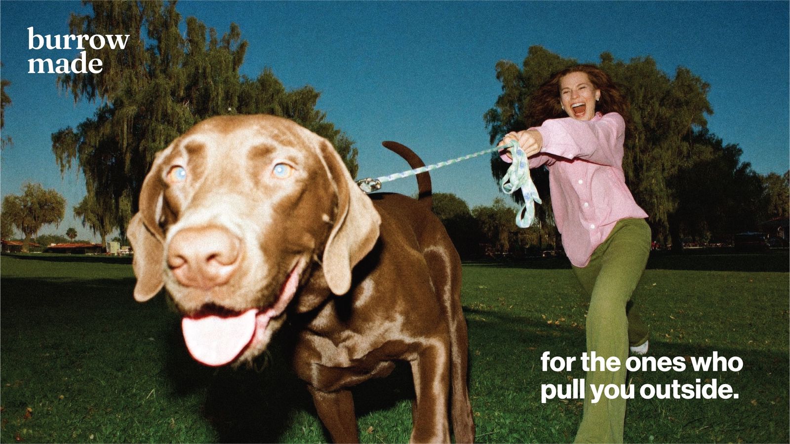 A happy dog pulling its owner along on a walk