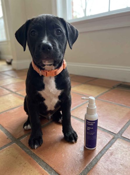 Customer photo from Rachael Flannigan's review