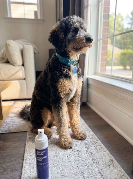 Customer photo from Els's review