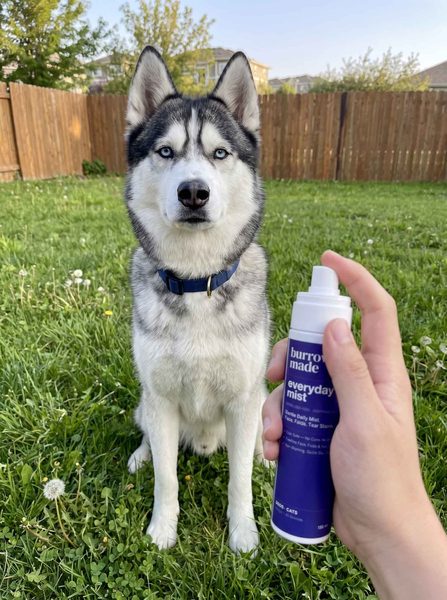 Customer photo from Danyah A.'s review